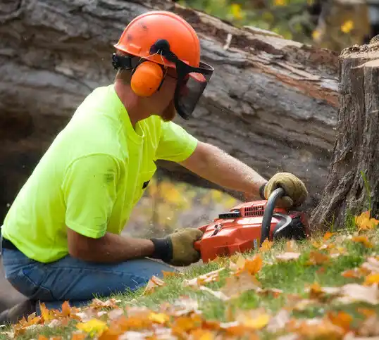 tree services Craig Beach